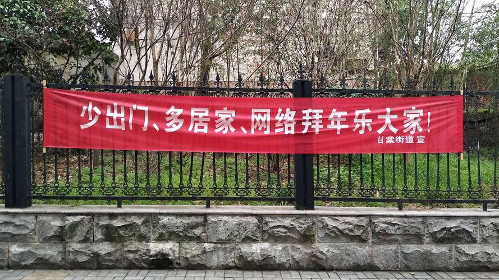 云柚网络